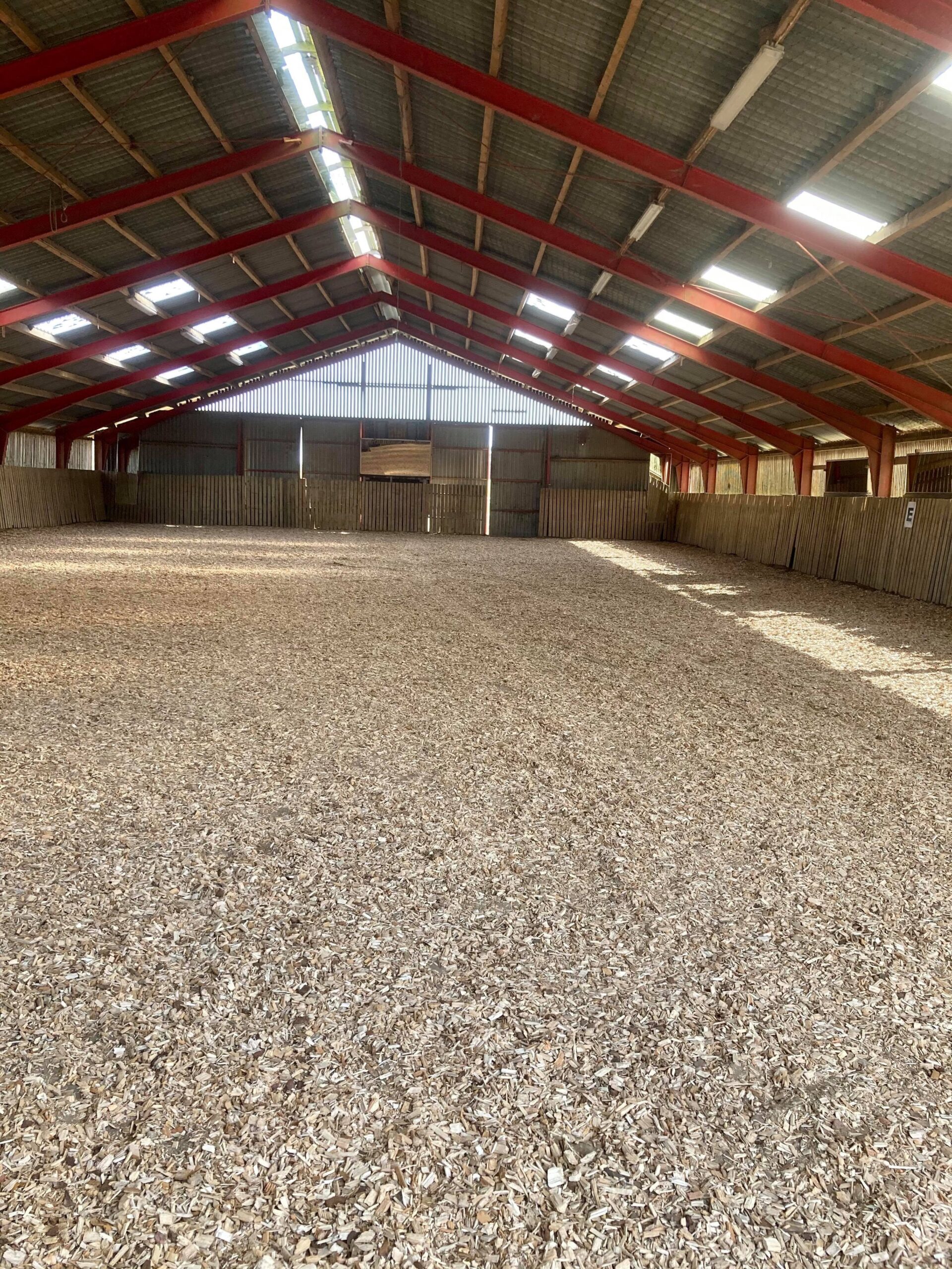 178817487_9451695395_cDlHi