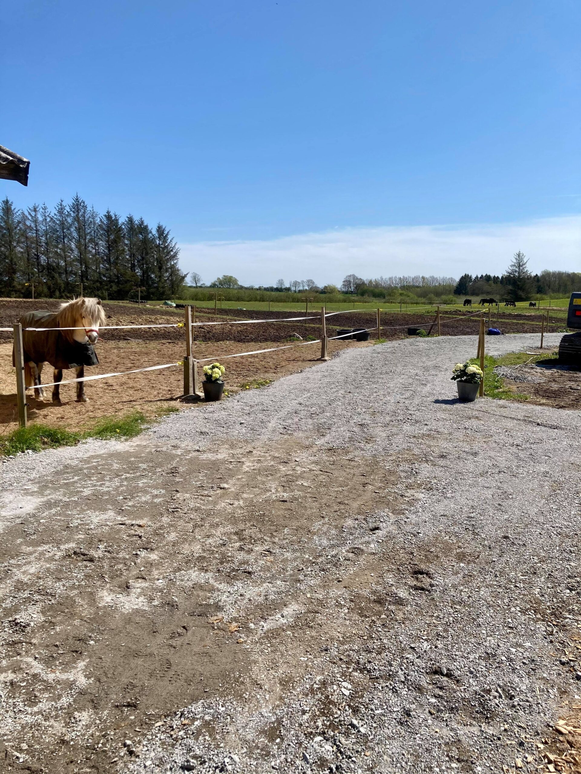 192879836_1127582901_0T16g